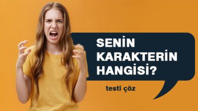 Senin Karakterin hangisi