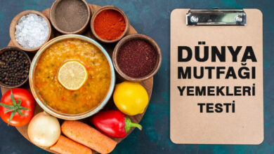 Dünya Mutfağı Yemekleri Testi