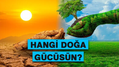 Hangi Doğa Gücüsün?