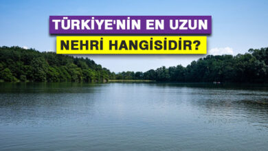 Türkiye'nin en uzun nehri hangisidir?