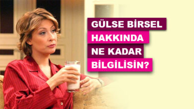 Gülse Birsel Hakkında Ne Kadar Bilgilisin?